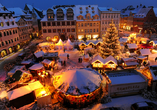 Das weihnachtliche Naumburg begeistert mit festlicher Atmosphäre.