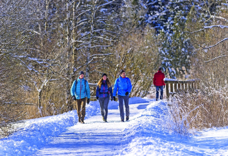 Unternehmen Sie eine entspannte Winterwanderung im Harz.