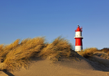 Wind im Haar, Sand unter den Füßen – Borkum ist Freiheit auf Nordseeart.