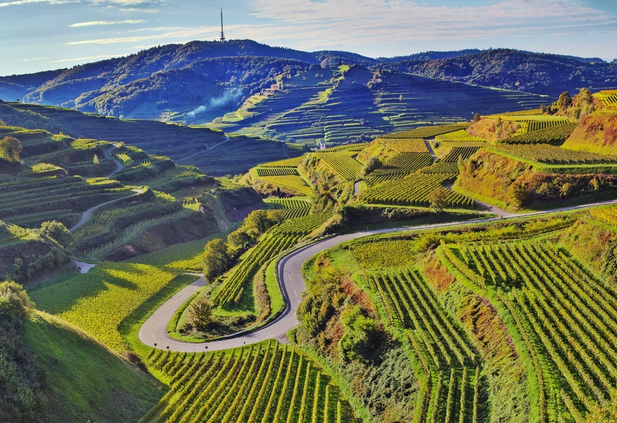 Der Kaiserstuhl liegt direkt vor Ihrer Tür.