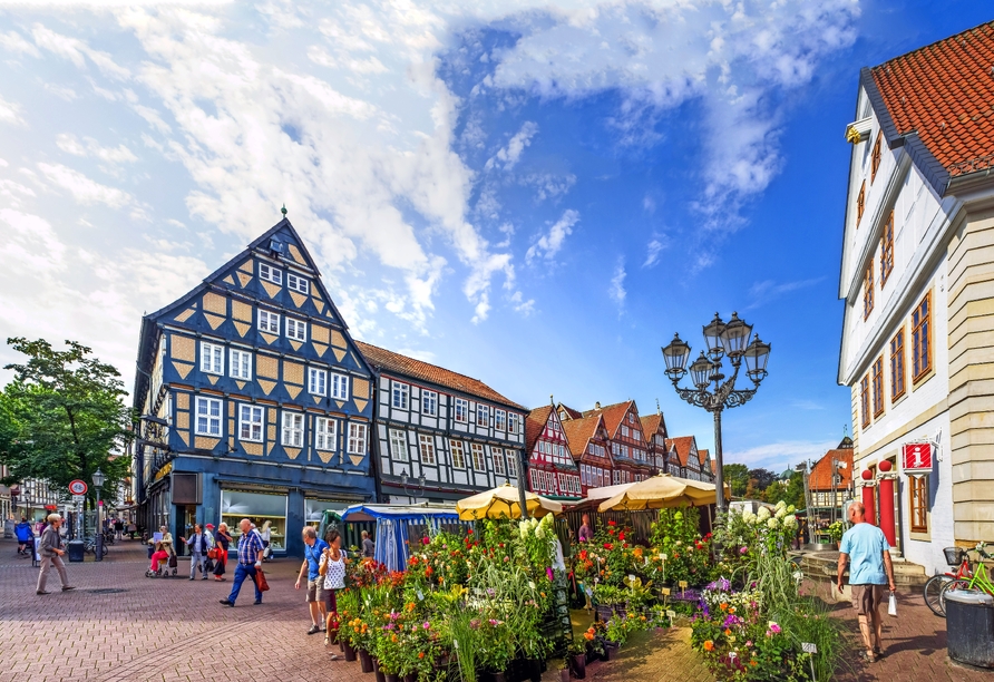 Malerische Fachwerkhäuser prägen das historische Stadtbild von Celle.