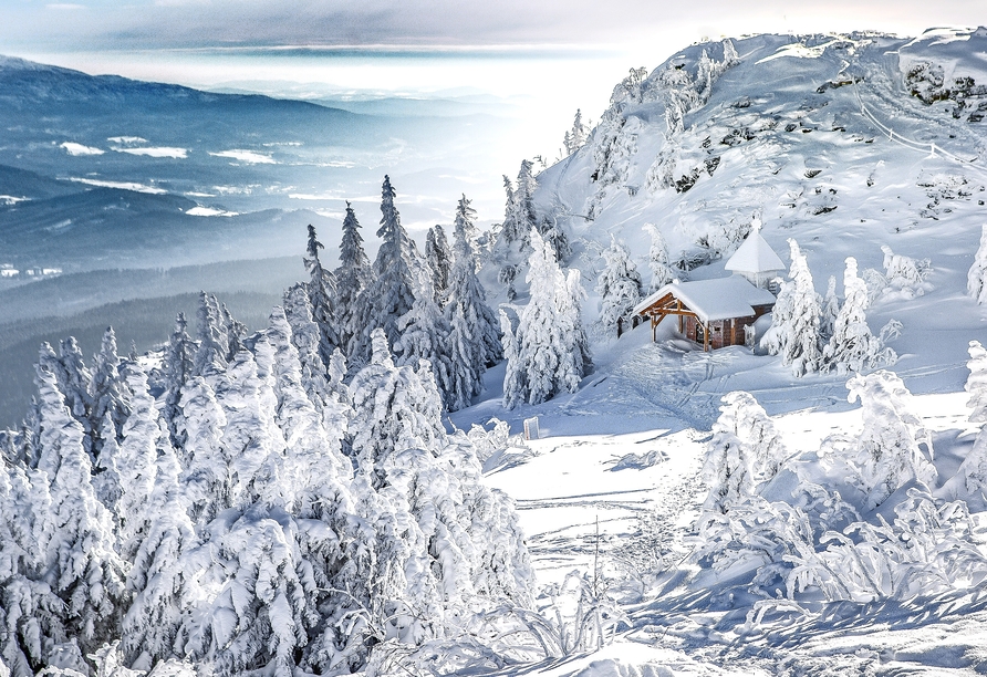 Lassen Sie sich von der winterlichen Landschaft im Bayerischen Wald begeistern!