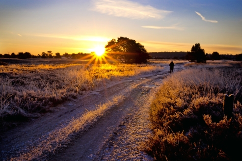 Genießen Sie die idyllische Landschaft der Lüneburger Heide bei einem Spaziergang.
