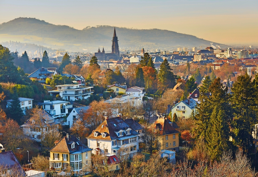 Besuchen Sie die mittelalterliche Großstadt Freiburg im Breisgau.