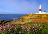 Die Isle of Portland erwartet Sie mit felsigen Küsten und historischen Stätten.