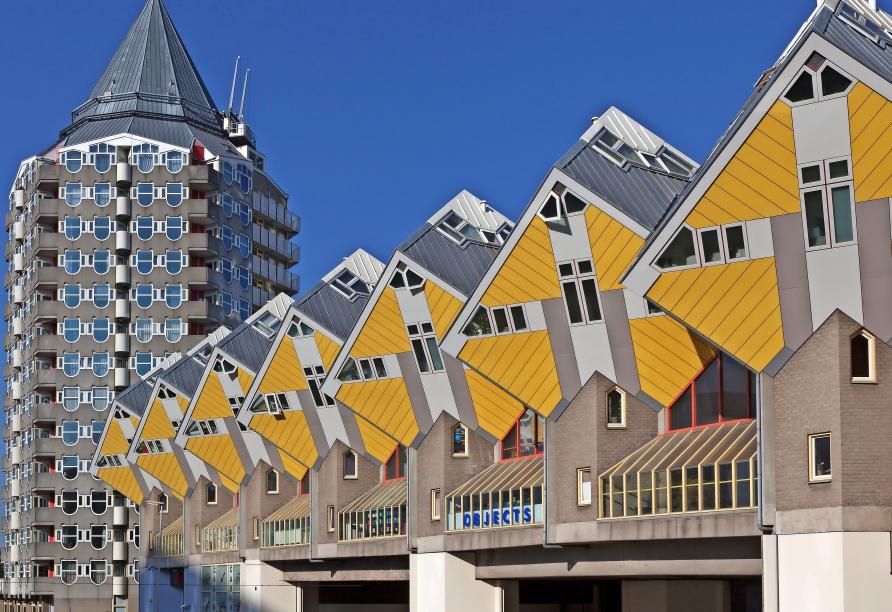 DCS Alemannia, Rotterdam