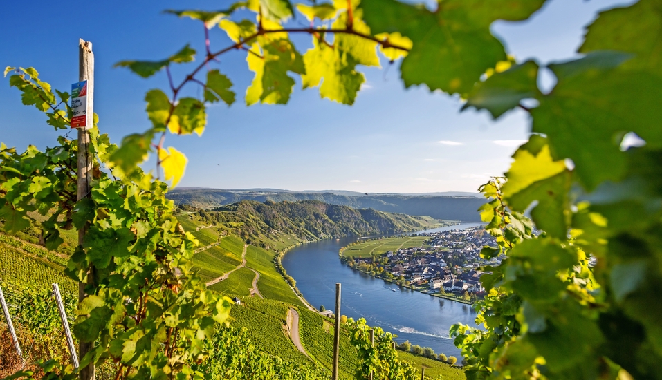 Koblenz, die Stadt an der Rhein und Mosel zusammenfließen, wird Sie begeistern!
