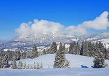 Sonthofen zeigt sich im Winter vor der beeindruckenden Kulisse der verschneiten Allgäuer Gipfel.