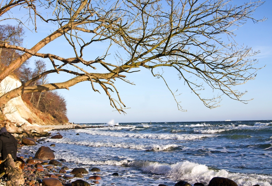 Der Kreidefelsen an der Ostsee ist auch im Winter einfach bezeuabernd.