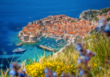 Ihr Ganztagesausflug ins Nachbarland Kroatien führt Sie in die berühmte Hafenstadt Dubrovnik.