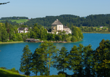 Bei einer Wanderung um den Fuschlsee können Sie wunderschöne Ausblicke genießen.