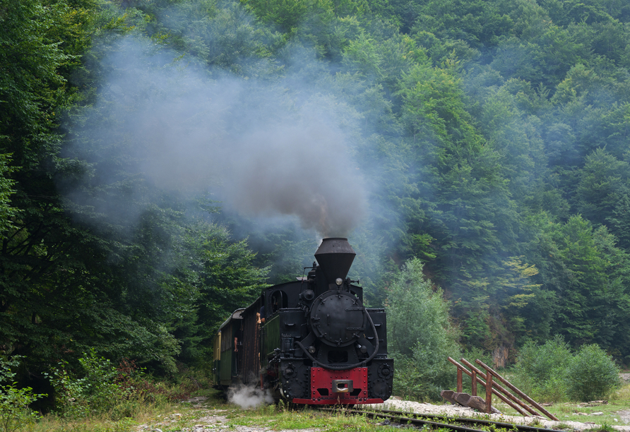 Erleben Sie optional eine Fahrt mit der Wassertalbahn ins Valea Vaserului-Tal.