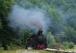 Erleben Sie optional eine Fahrt mit der Wassertalbahn ins Valea Vaserului-Tal.