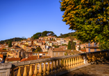 Genießen Sie den Panoramablick auf Bormes-les-Mimosas mit Mimosenbäumen im Vordergrund.